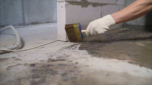 24/7 Emergency Wet Basement Repair experts in Ottawa Lake, MI